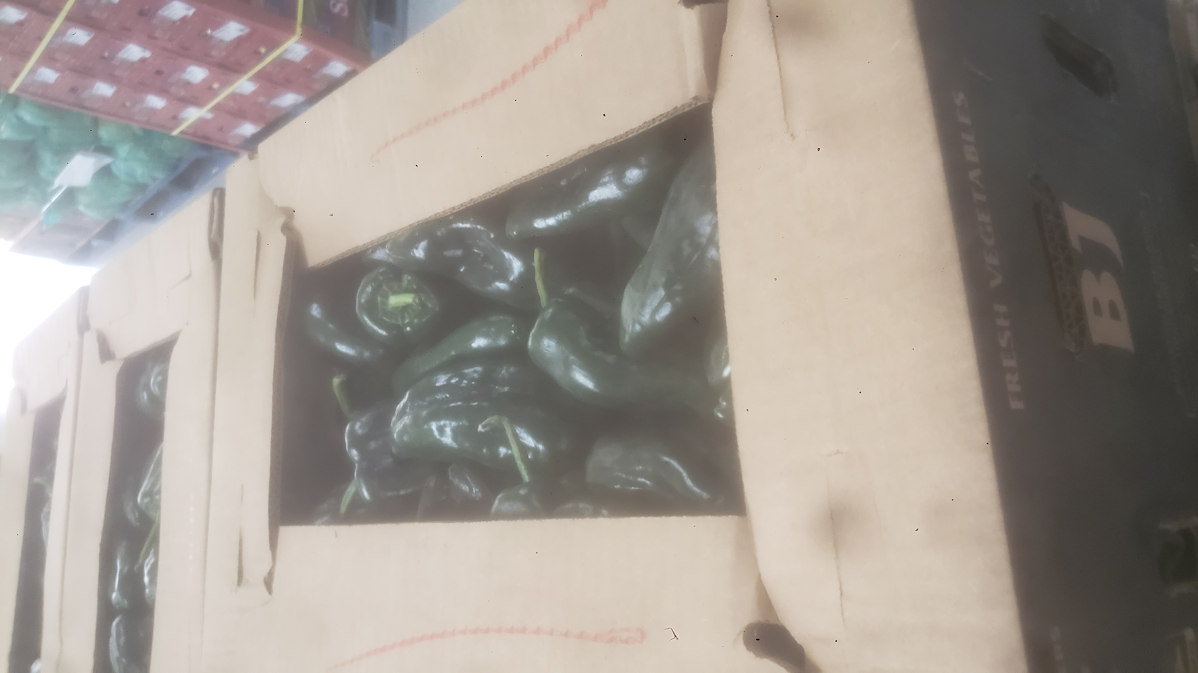 Cardboard box full of peppers.